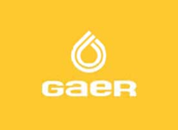 Gaer