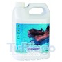 Antialgas bactericida y fungicida